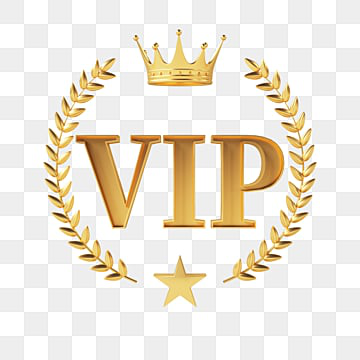 VIP VIP на 3 дня